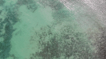 From Above Beach GIF by Chris