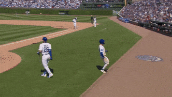 Chicago Cubs Sport GIF by TheDreamTeam 