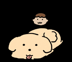 Puppy 강아지 GIF
