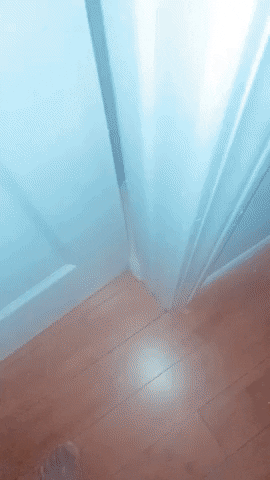 Let Me In Now Knock Knock GIF