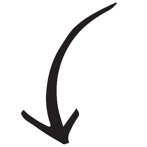 Arrows Sticker by Bedhead Hats