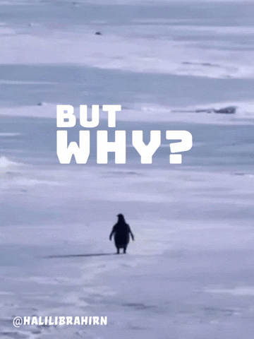 Snow GIF