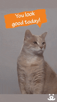Brumilla Best Friends GIF - Brumilla Best Friends Buddies - Discover &  Share GIFs