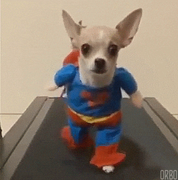 giphy.gif?cid=4d1e4f29db8d2eecbe35f4ec9f12c5fdc1b2a1c17641fcae&rid=giphy.gif