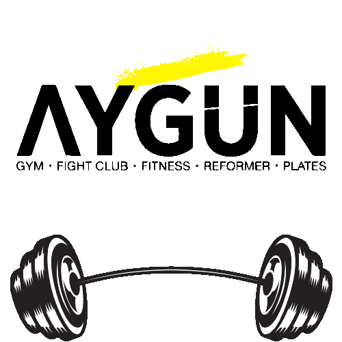 aygungym Sticker