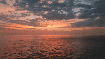 Cabo San Lucas Ray GIF by Switzerfilm