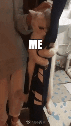 Meme gif. Woman attempts to pick up a cat, who is angrily holding onto a long curtain for dear life. The woman is labeled, "S-C-O-T-U-S," the cat is labeled, "Me," and the curtain is labeled, "Reproductive rights."