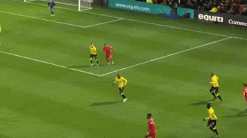 janvejdelek  GIF