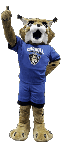 Excited Lets Go Sticker by Carroll Community College