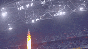 Stadium Australia GIF