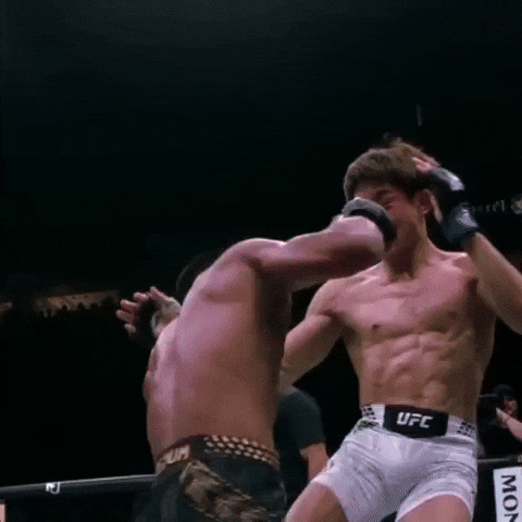 Fight Ufc GIF