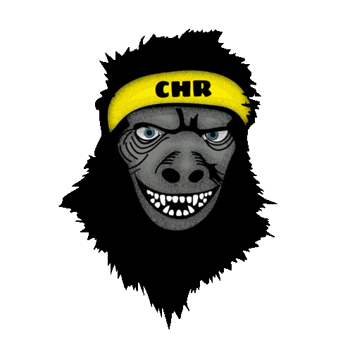Chr Sticker by FuerzaRegia