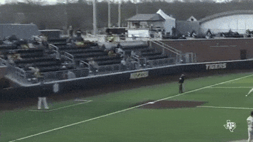 College Baseball Sec GIF by Texas A&M Athletics