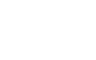 Nexxera Sticker