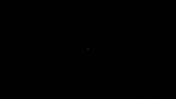 Cueca Chilena GIF