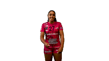 Handball Lfh Sticker by hbcam