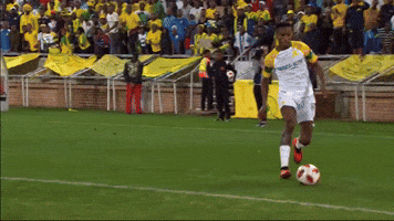 Themba Zwane GIF