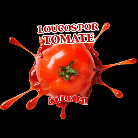 Tomate Colonialconservas Molho Macarronada Spaguete GIF