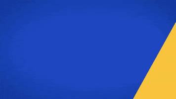 Tayllan Zanatta GIF