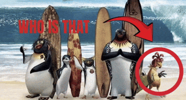 Who Is He Surfs Up GIF