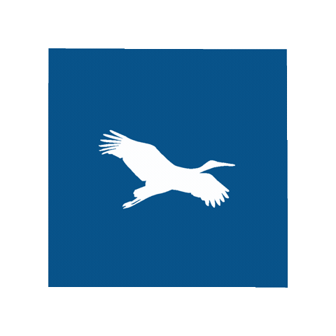Human Immobilier Sticker