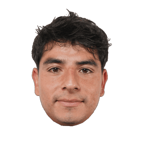 Futbol Sticker by Racing de Veracruz