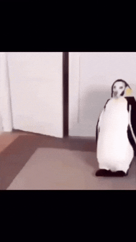 Japan Footstep Electricity GIF