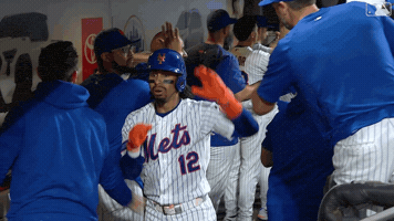 High Five Home Run GIF by New York Mets