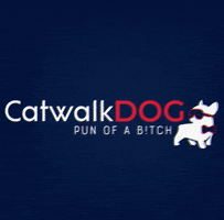 victoriacatwalkdog GIF