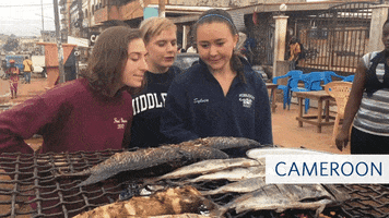 Study Abroad Midd GIF by Middlebury