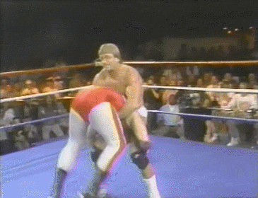 Wwf GIF