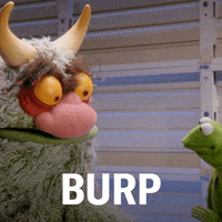 The Muppets GIF by ABC Network