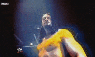 Wwe Porn Roman Reigns - Please Stop Sir GIFs - Find & Share on GIPHY