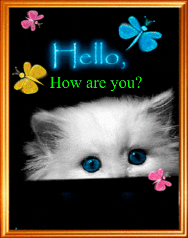Hello how are you GIFs Get The Best GIF On GIPHY