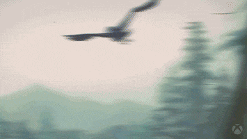 Who Are You Bird GIF by Xbox
