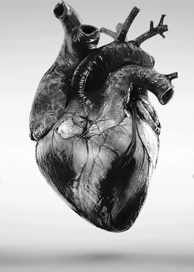 Video gif. Black-and-white video of human heart pulsating.
