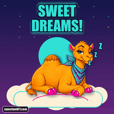 Good Night Dreaming GIF by CamelToe