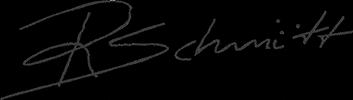 RSchmitt GIF