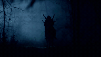 alinabelferman  GIF
