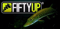 Fiftyup GIF