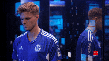 Schalke S04 GIF by Bundesliga