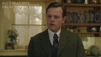 Channel 5 Ok GIF by All Creatures Great And Small