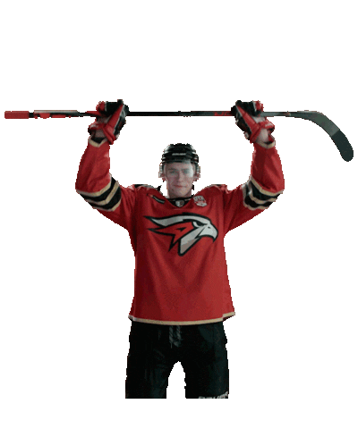 China Goal Sticker by Avangard