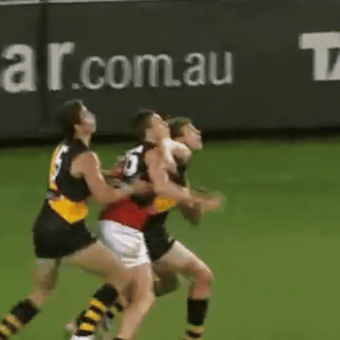 GIF by Essendon FC