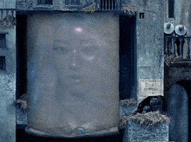 Meow Burning Up GIF
