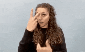 Asl Either Way GIF