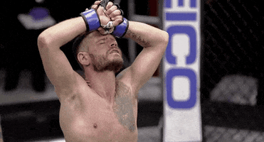 the ultimate fighter mma GIF by UFC