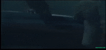 Manda GIF