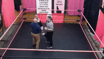 Wrestling GIF
