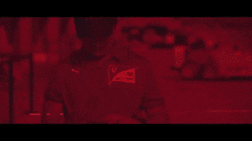 GIF by Manga Rosa Lab